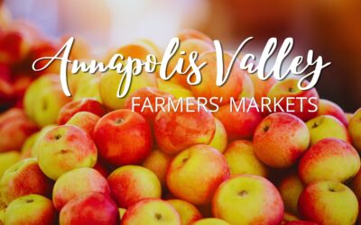 Fresh From the Farm: Your Guide to Annapolis Valley Farmers’ Markets