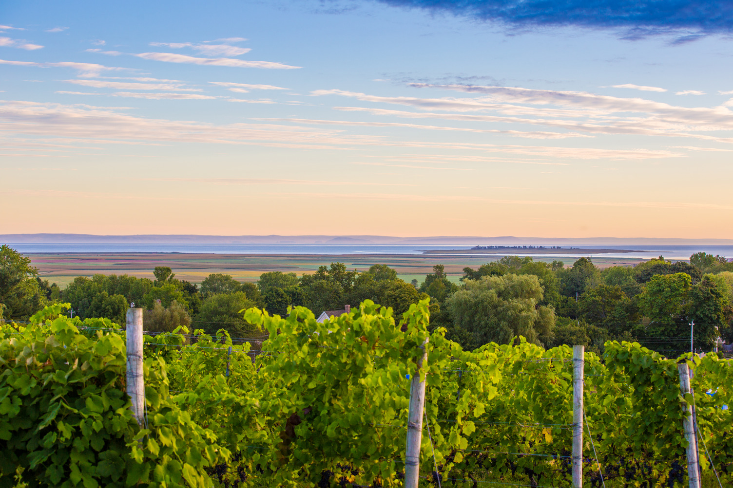 Golden hour photograph of the Annapolis Valley, Nova Scotia.
