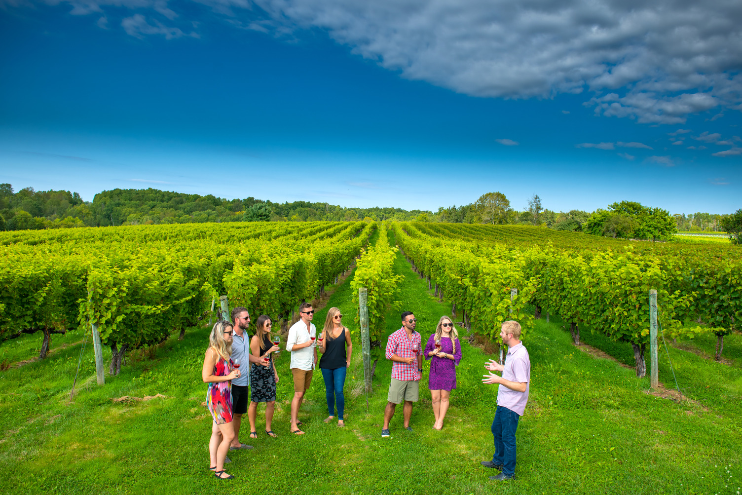 Photo of a group of people beside many rows of grapes in the Annapolis Valley, Nova Scotia