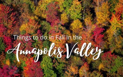 The Best Things to Do in the Annapolis Valley This Fall